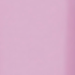 19-Rose-pâle