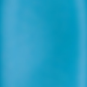 63-Bleu-canard
