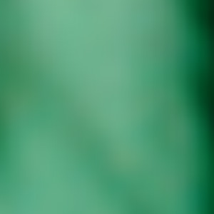 9052-Vert