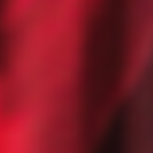9053-Rouge